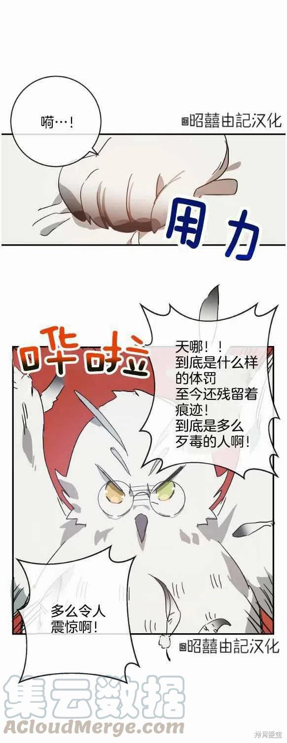 第29话0