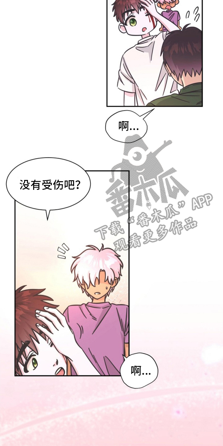 我的爱豆叫阿中漫画,第8话2图
