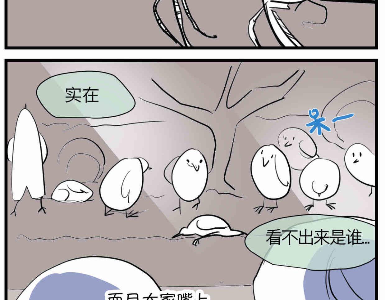 114.小鸡的死因4