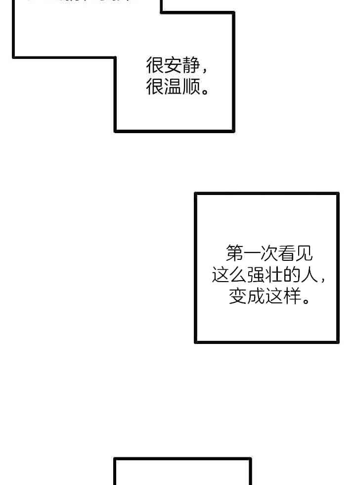 完美密码保护卡怎么用漫画,第75话2图