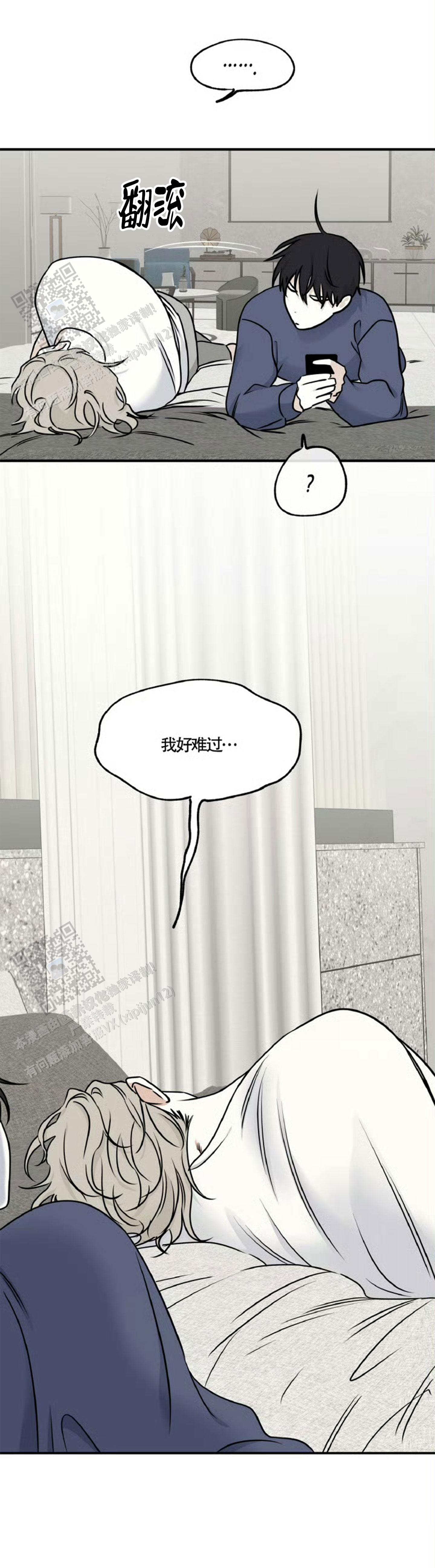 等价交换和无尽贪婪1~76全集@迪哥闯世界漫画,第159话5图