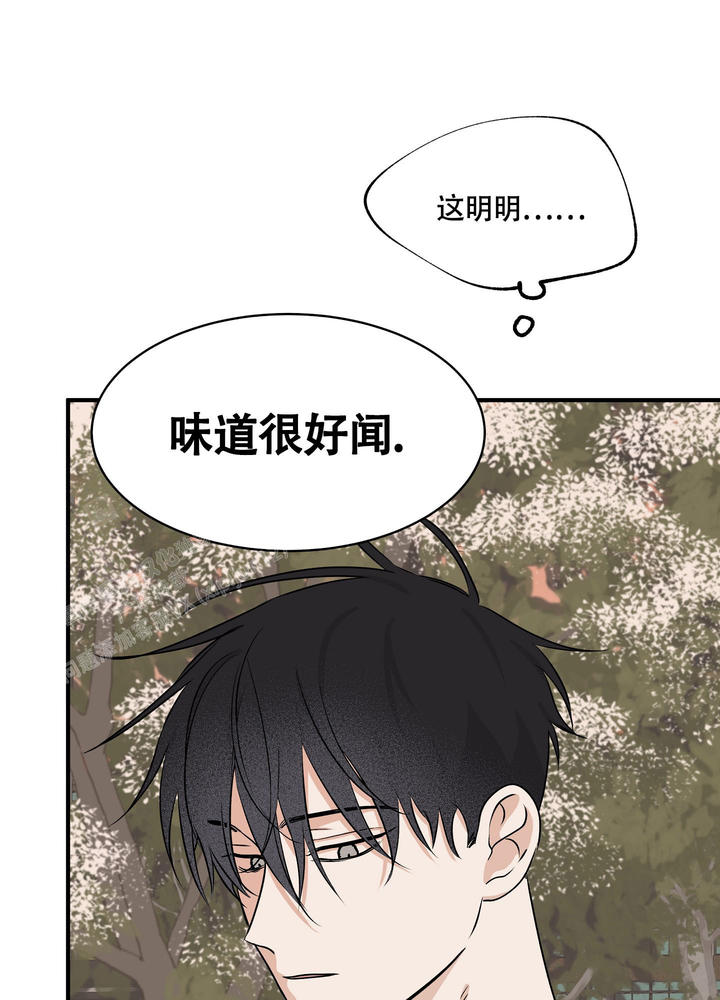 等价交换mc百科漫画,第70话5图