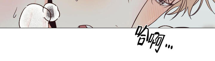 危险便利店简单简介漫画,第146话4图