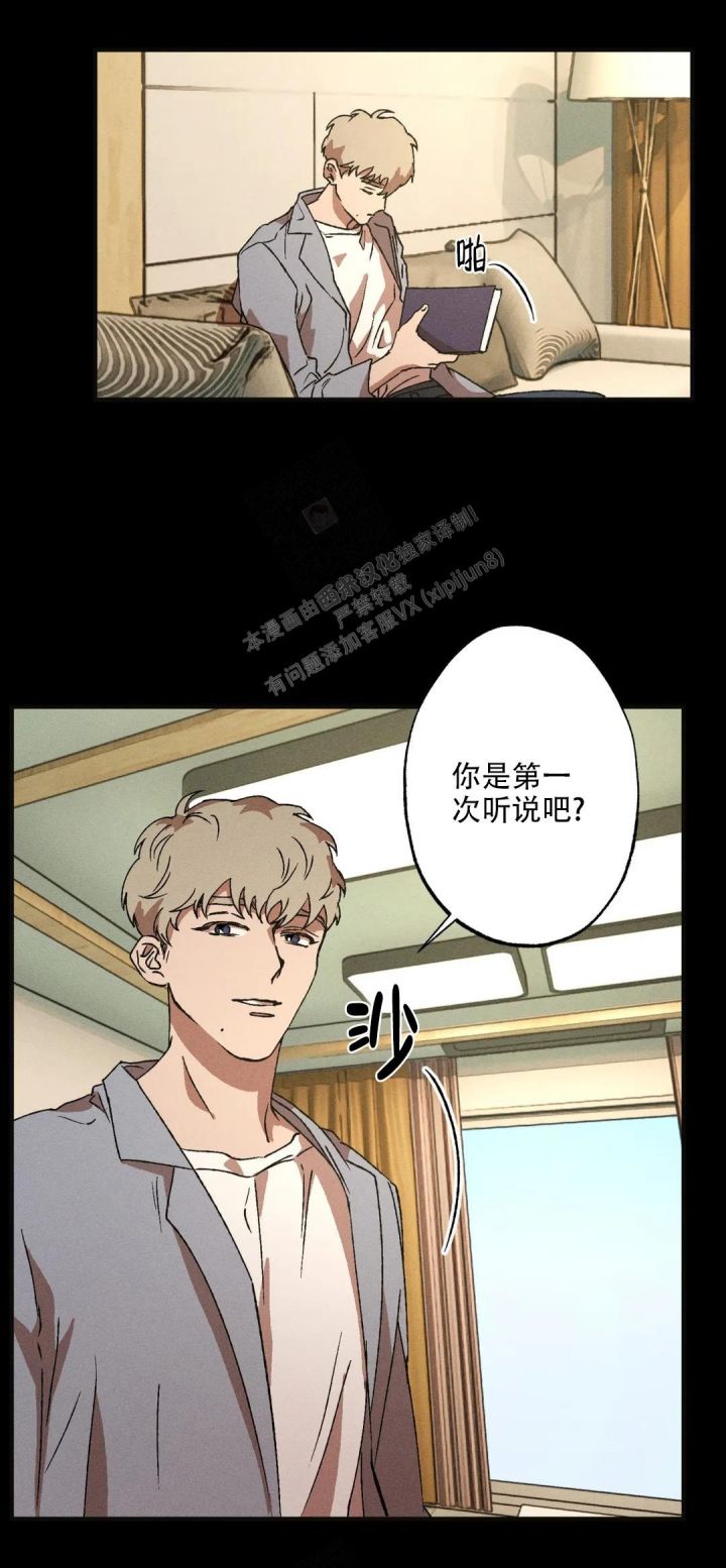 双重陷阱漫画在线看漫画,第46话4图