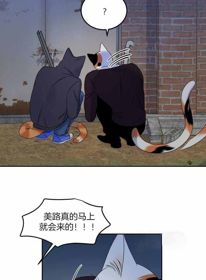 蓝色梦想主页漫画,第37话3图