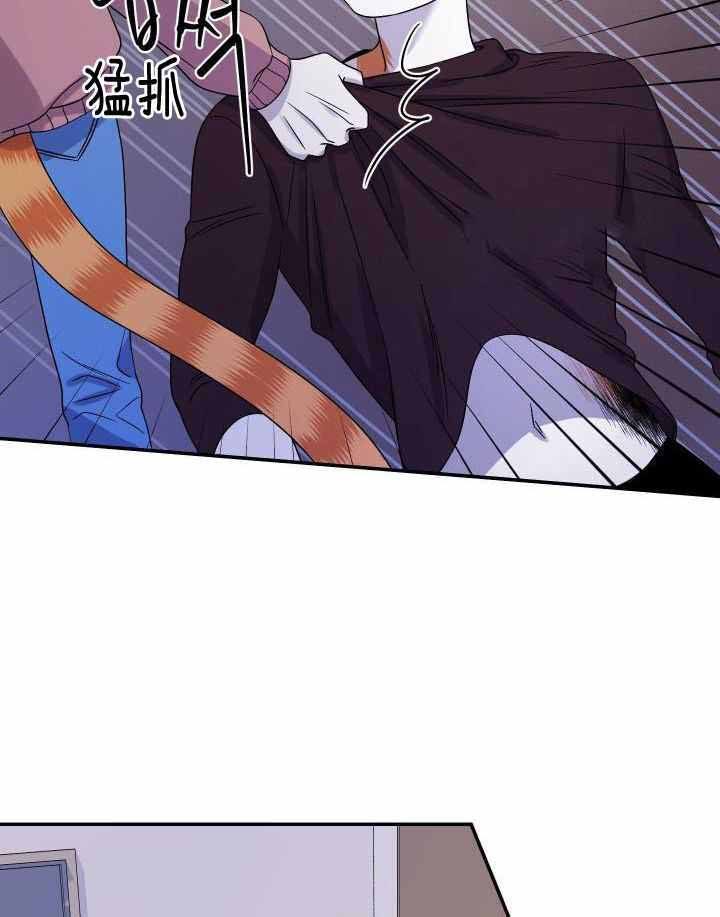 蓝色梦想主页漫画,第32话3图