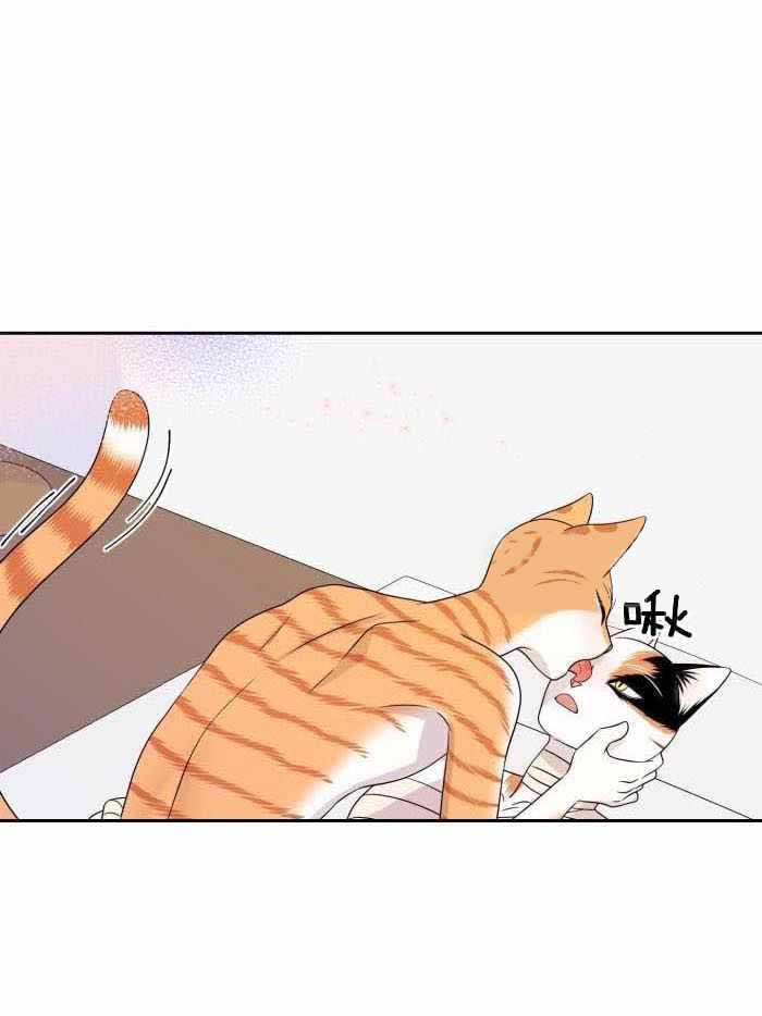蓝色计划在漫蛙叫什么漫画,第49话5图