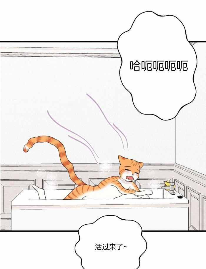 蓝色计划在漫蛙叫什么漫画,第74话2图