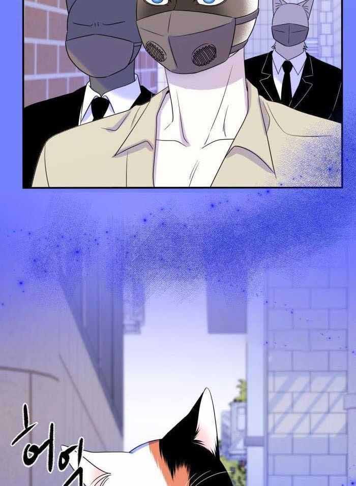 蓝色计划在漫蛙叫什么漫画,第53话3图