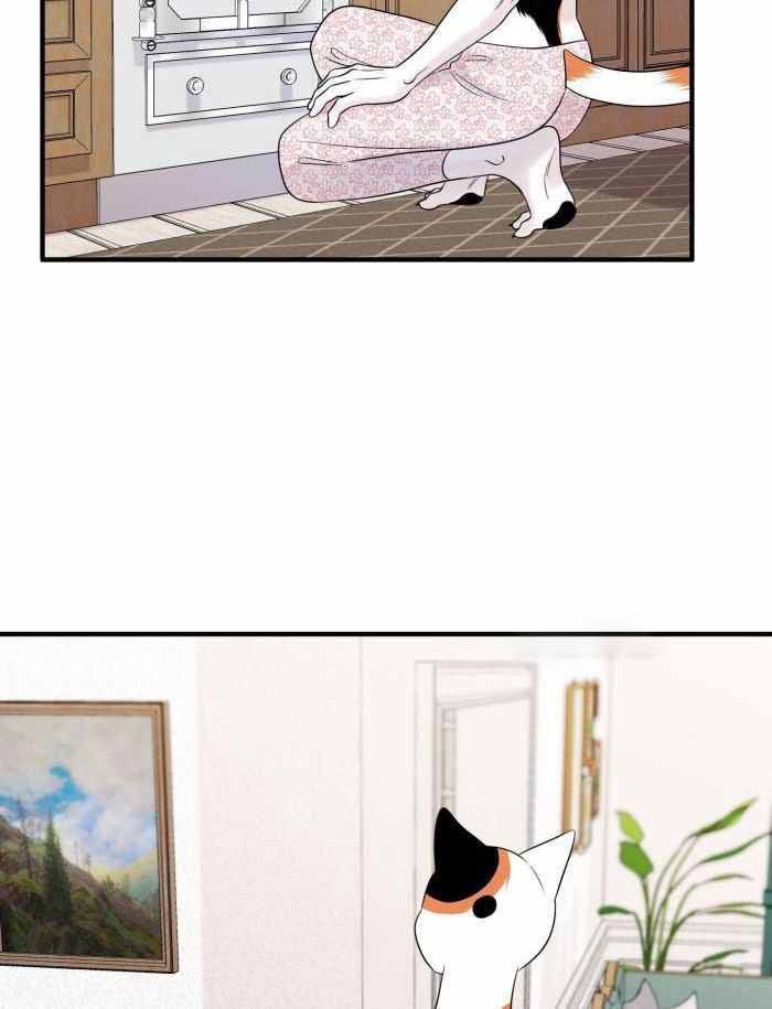 蓝色计划在漫蛙叫什么漫画,第74话5图
