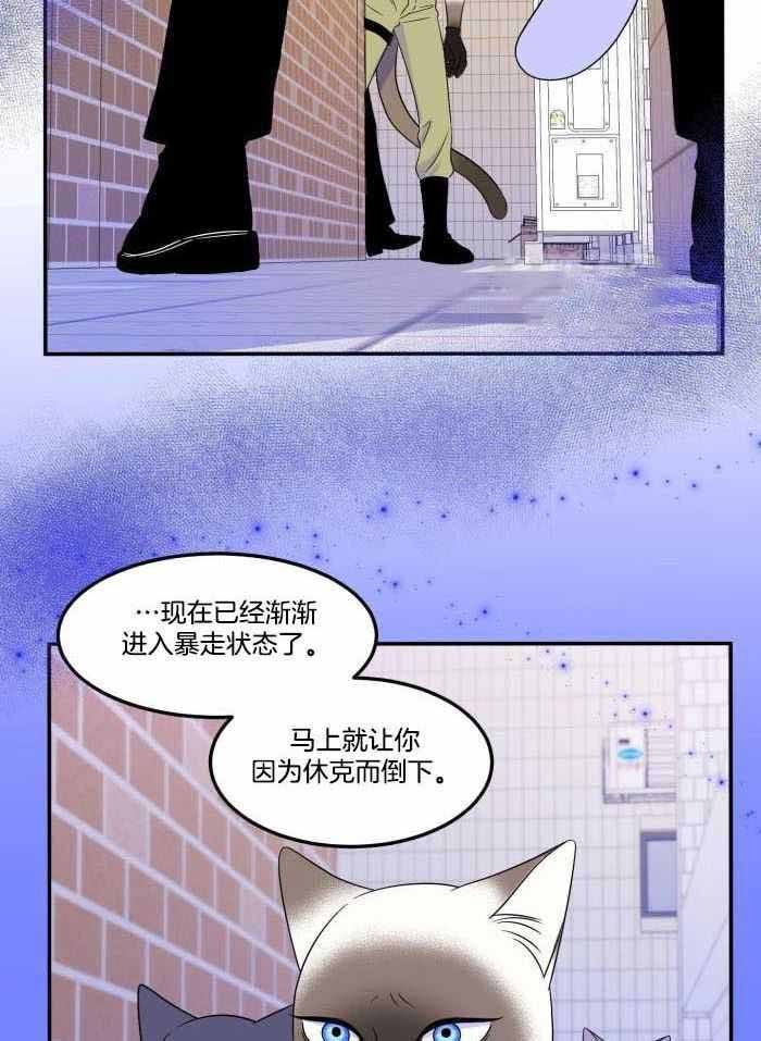 蓝色计划在漫蛙叫什么漫画,第53话2图