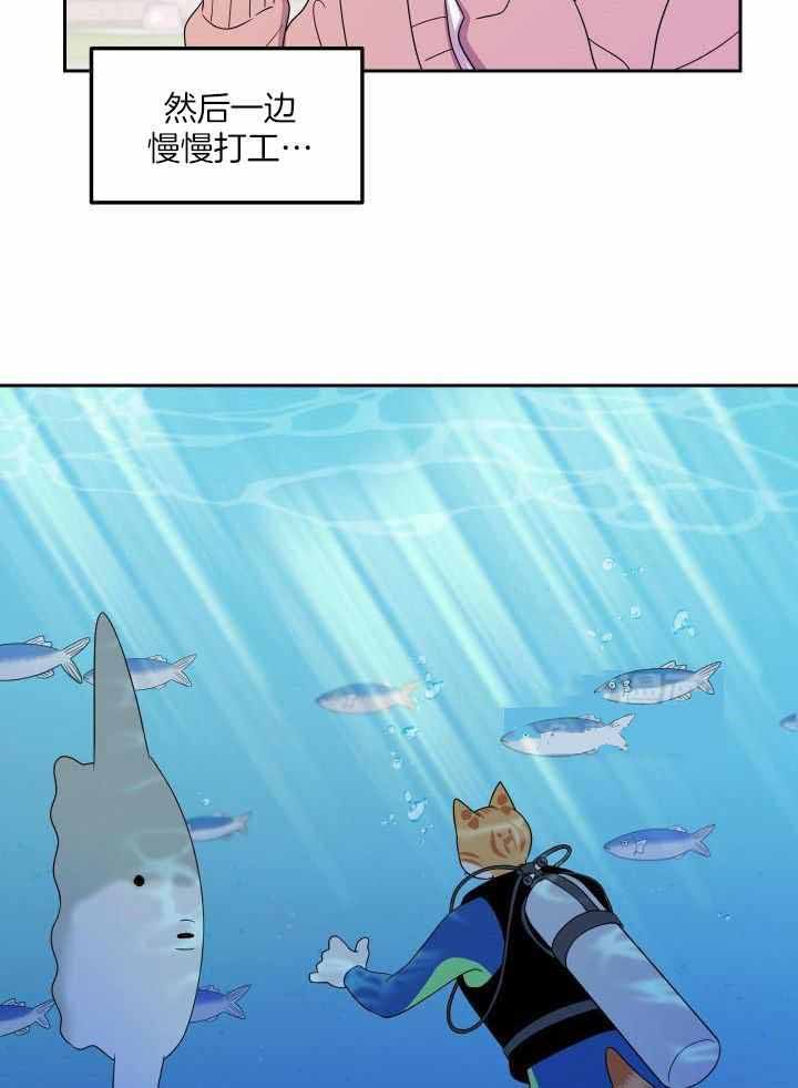 蓝色梦想主页漫画,第43话5图