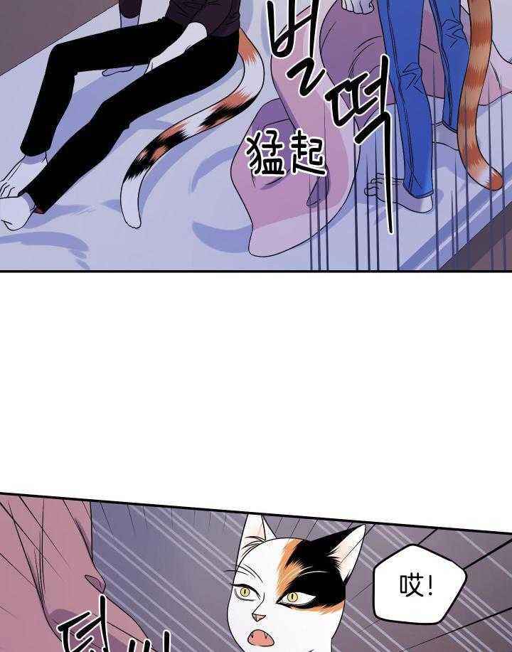 蓝色梦想主页漫画,第32话2图