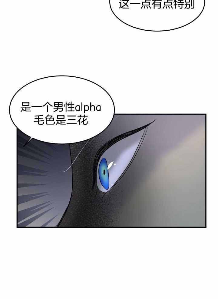 蓝色计划在哪里能看漫画,第30话3图