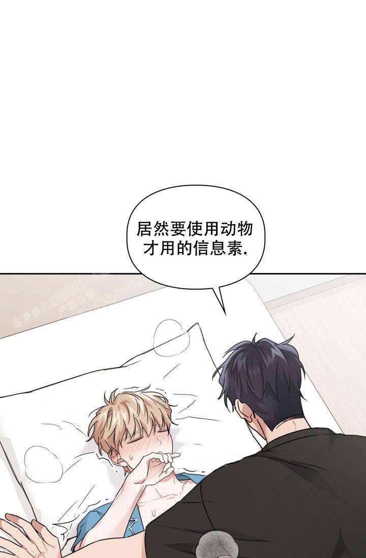 诱饵电影在线观看免费漫画,第36话4图