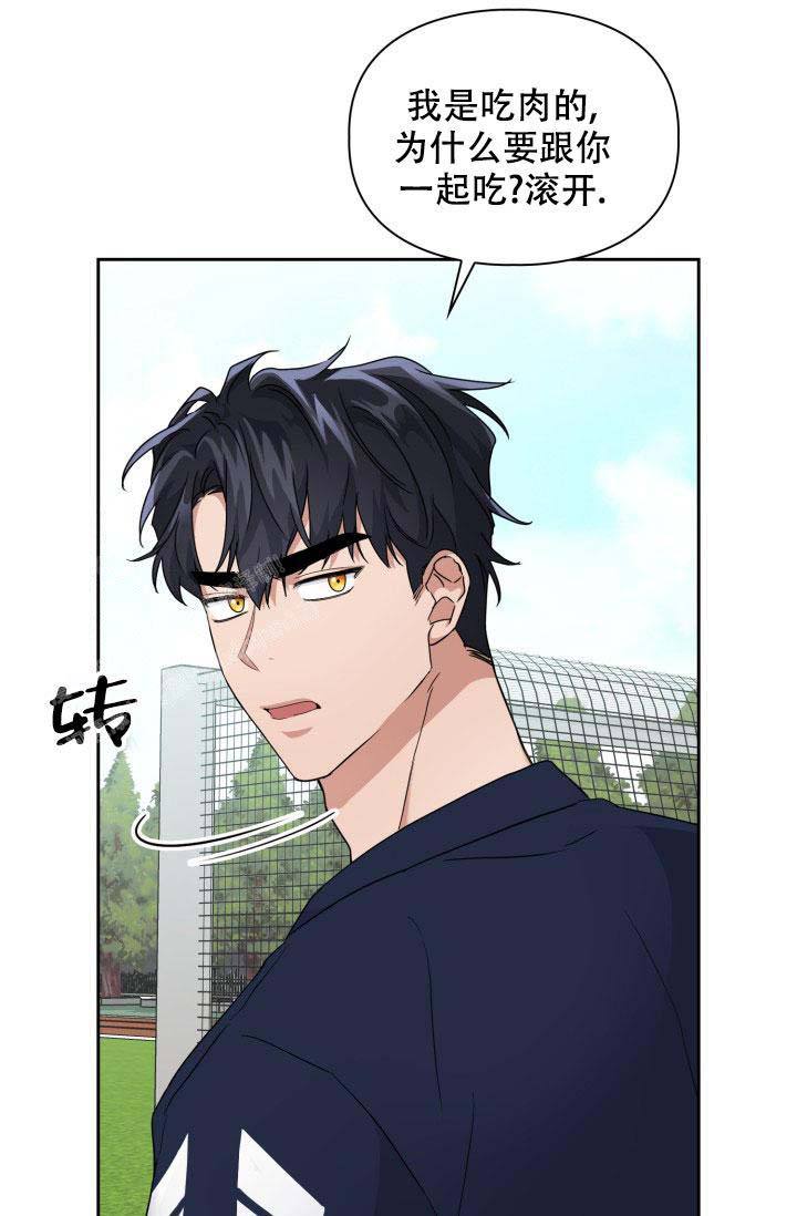 诱饵电影在线观看免费漫画,第40话1图