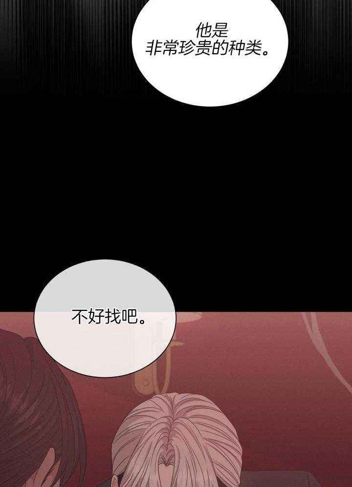 危险关系讲的是什么故事漫画,第33话5图