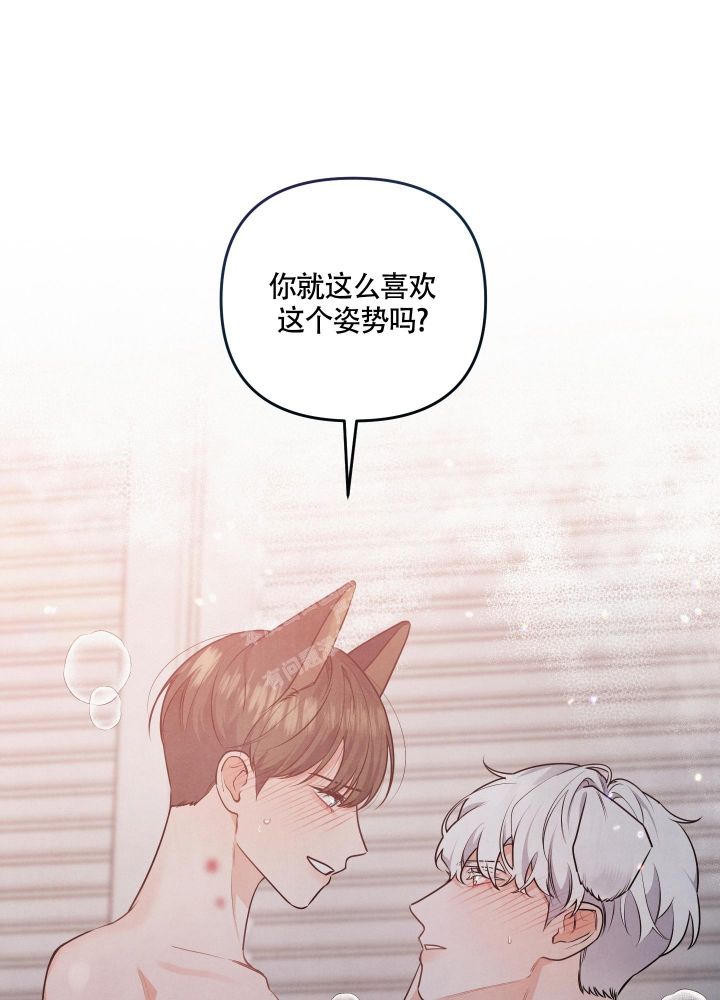 狗狗的恋爱与婚姻漫画,第31话1图