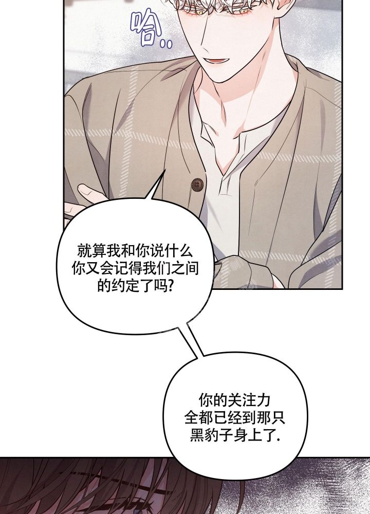 狗狗的陪伴最暖心一段话漫画,第28话5图