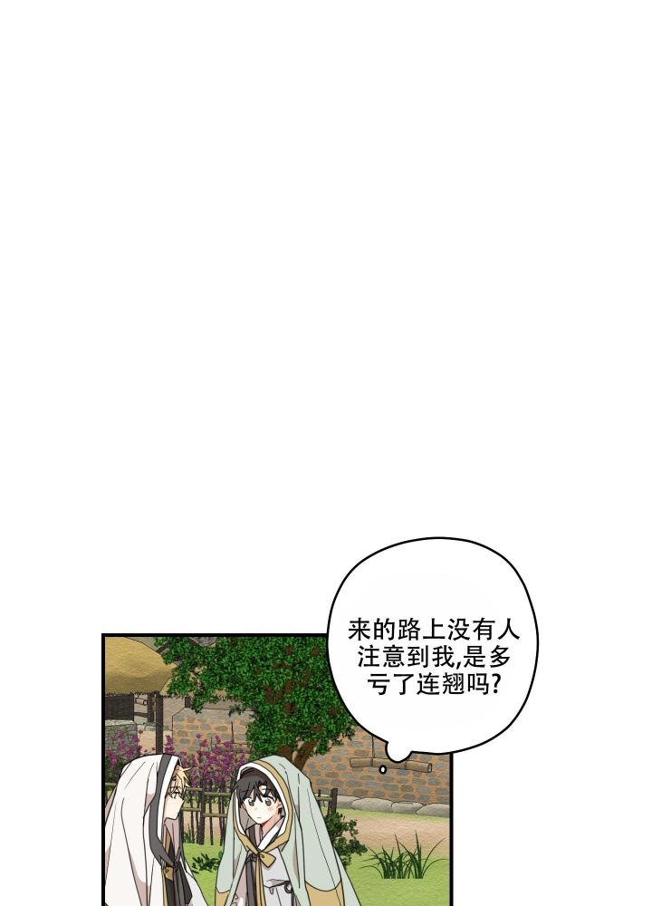 铺满金钟花的路解说全集漫画,第20话1图