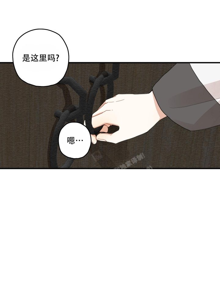 铺满金钟花的路解说全集漫画,第20话5图