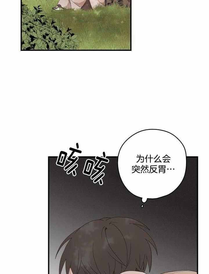 铺满金钟花的路解说全集漫画,第41话3图