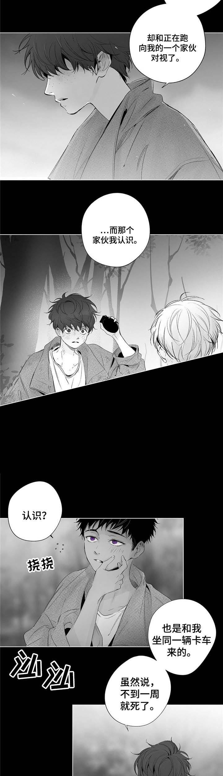 蜜月宿醉效应漫画,第54话4图