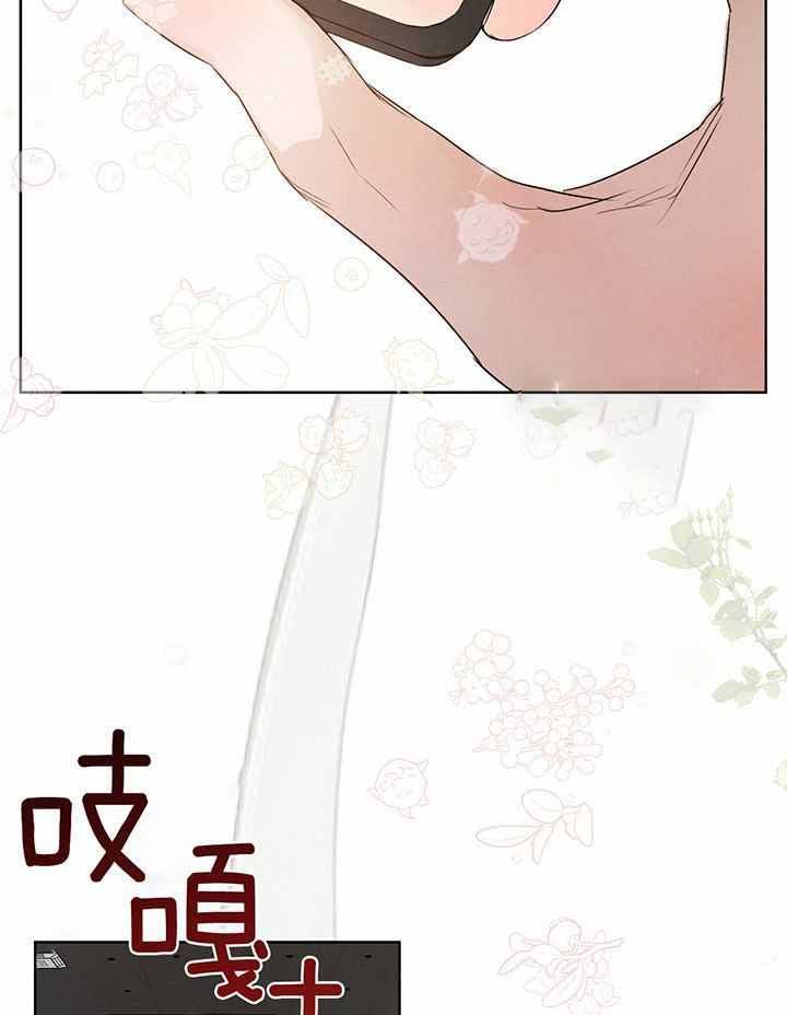 柳树浪漫史原版是小说免费阅读吗漫画,第135话4图