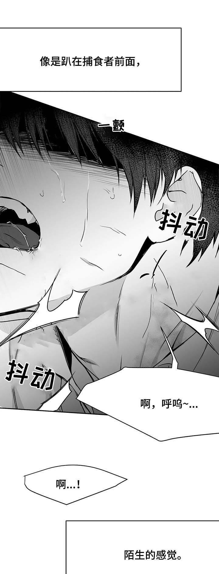 不走路的腿图片漫画,第65话1图