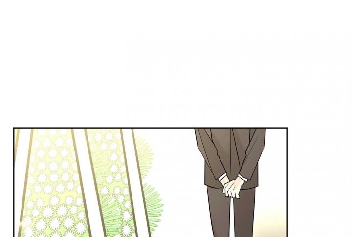 炒过的豆子会发芽吗漫画免费观看漫画,第64话3图