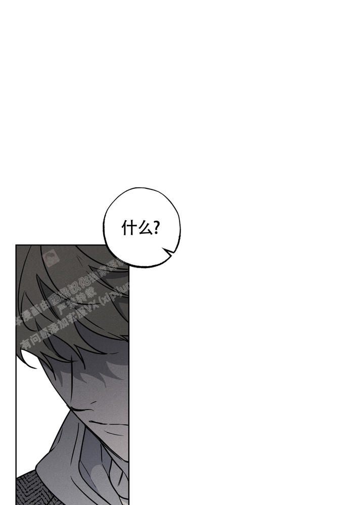 纯情罗曼史漫画,第11话1图
