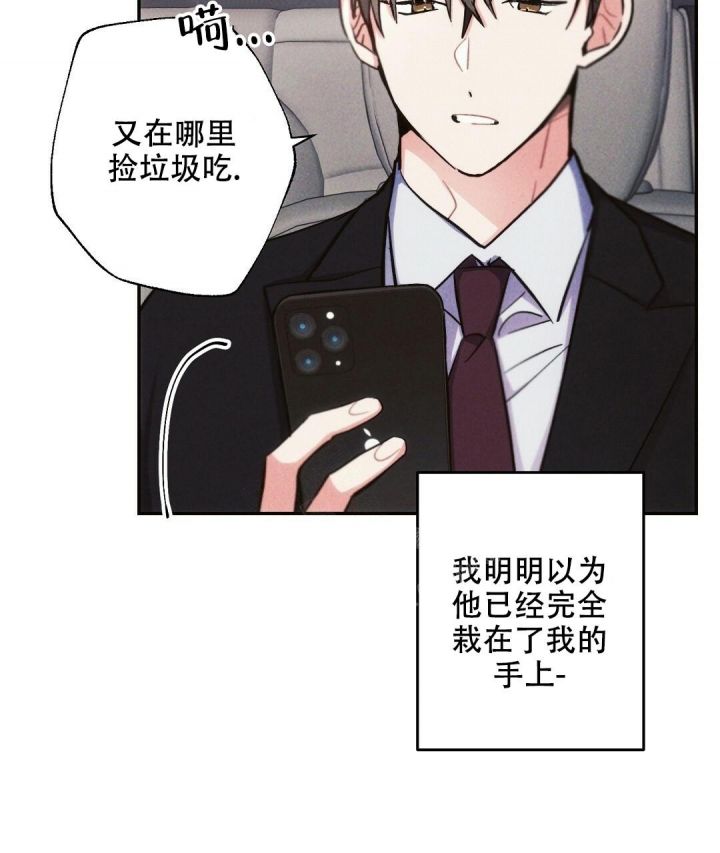 三国志疾风骤雨战法漫画,第73话5图