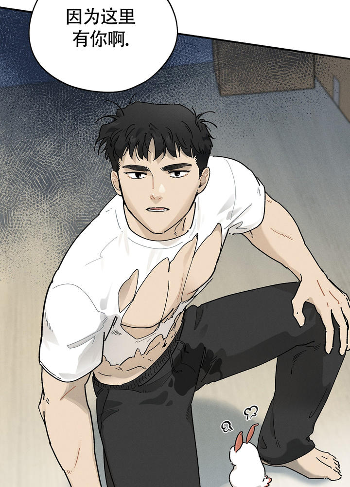 失重的速度是多少漫画,第5话3图