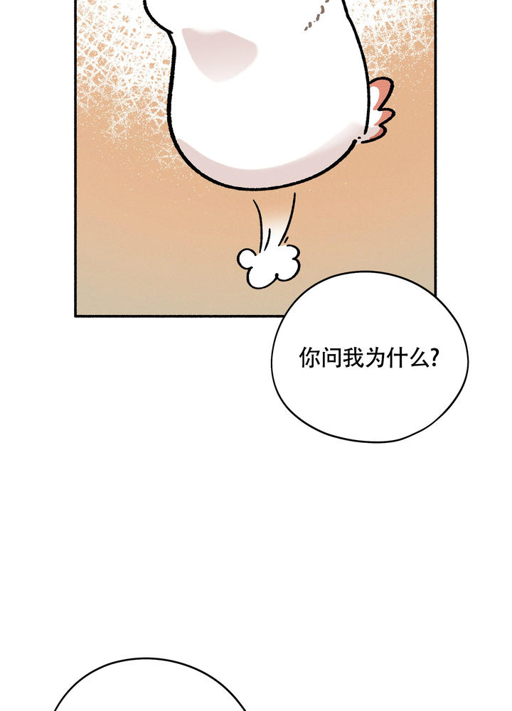 失重的速度是多少漫画,第5话2图