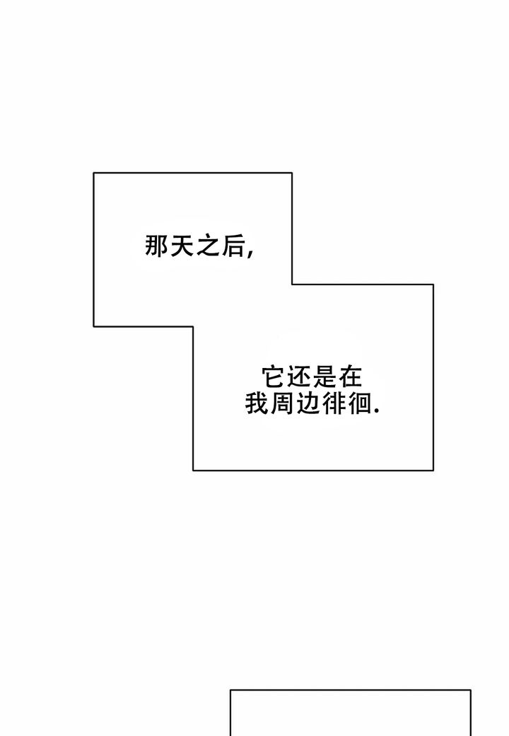 梦中情人漫画,第17话1图