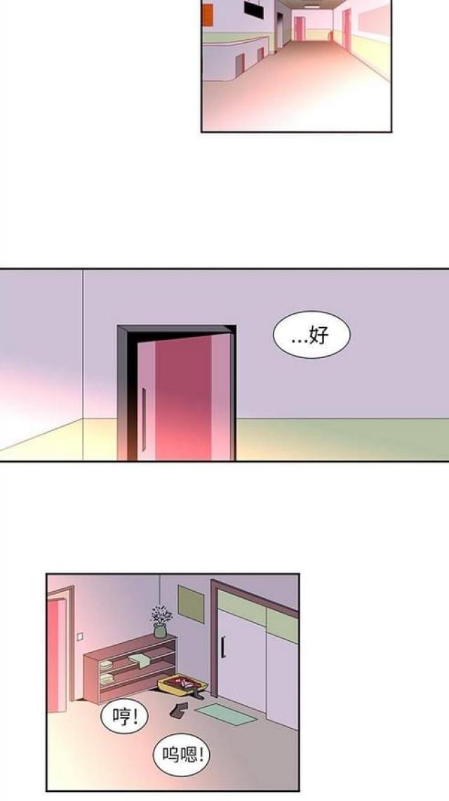 妇科圣手是前任傅季森免费阅读漫画,第24话3图