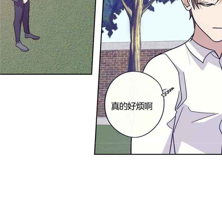亲爱的请你在我身边帖子漫画,第67话5图