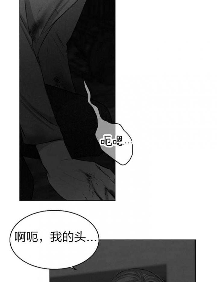 石莲子的功效与作用的功能与主治漫画,第117话2图