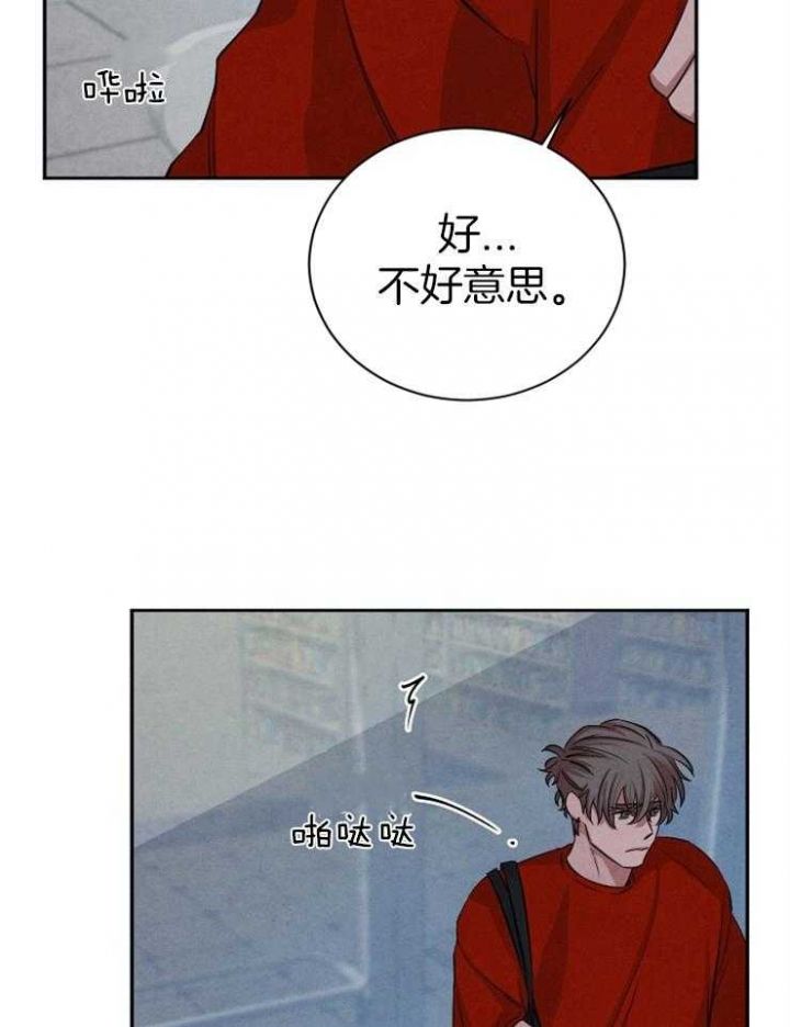 珊瑚是怎样形成的漫画,第65话5图