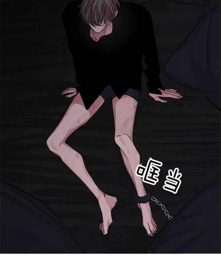 珊瑚石图片大全大图漫画,第81话3图