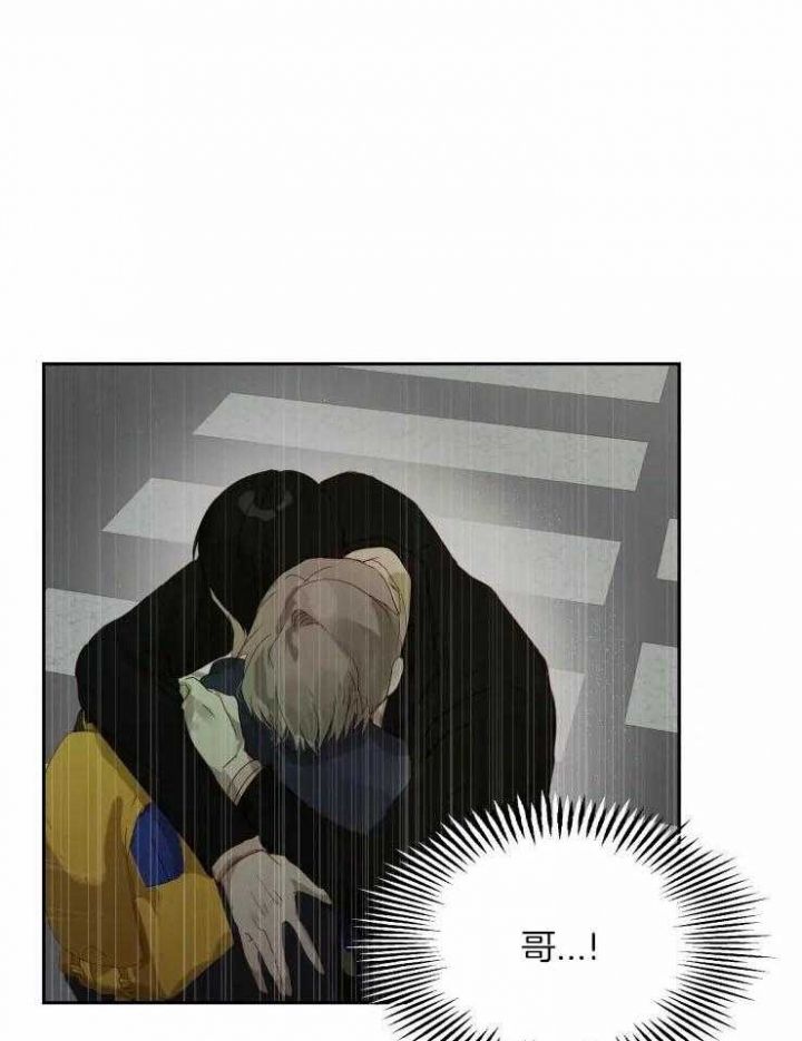黑帮大哥的图片漫画,第64话1图