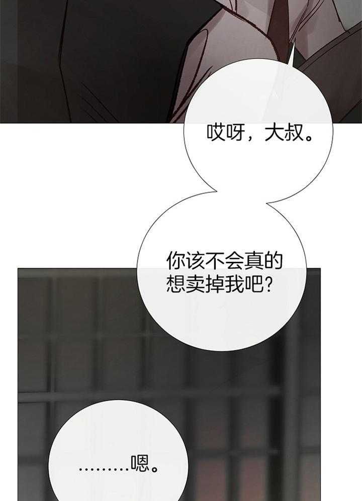 冷温柔的抖音号漫画,第165话5图