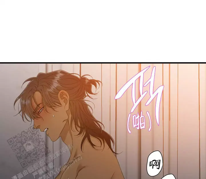被驯服的虎无删减漫画完整版漫画,第155话2图